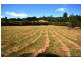 Lot 13 Cavanaghs Road, Lowanna NSW 2450