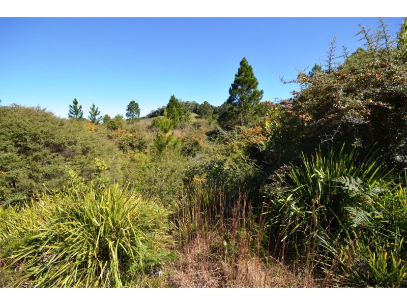 Lot 13 Cavanaghs Road, Lowanna NSW 2450