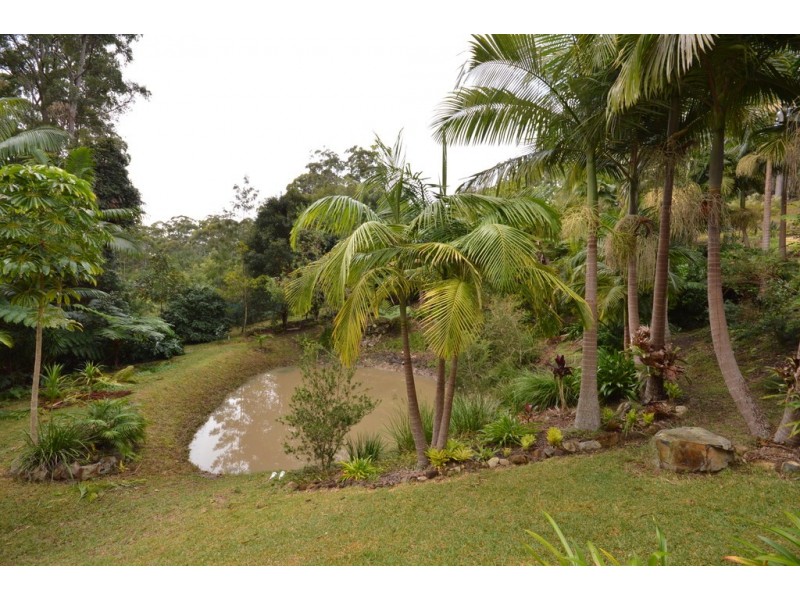 45 Discovery Drive, Moonee Beach NSW 2450
