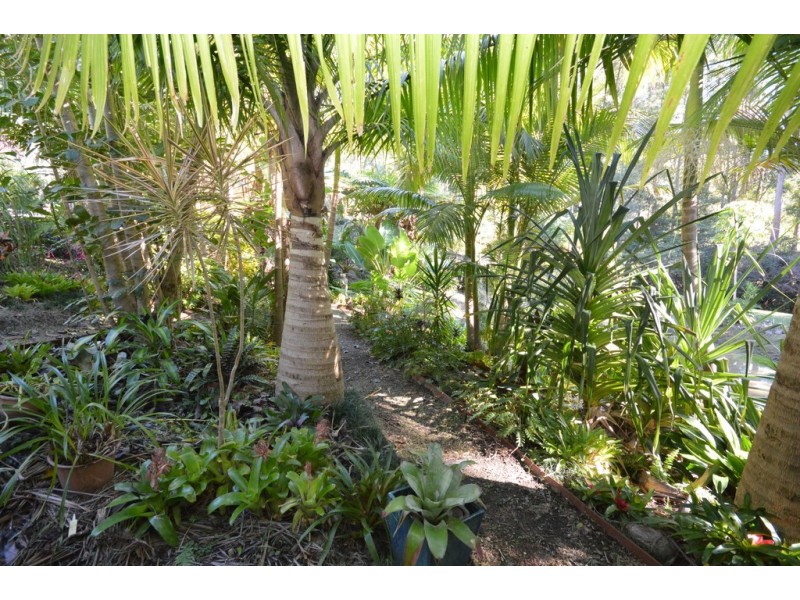 45 Discovery Drive, Moonee Beach NSW 2450