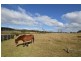 Lot 9 Cavanaghs Road, Lowanna NSW 2450