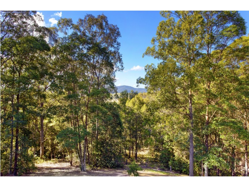 55 Coldwater Creek Road, Nana Glen NSW 2450