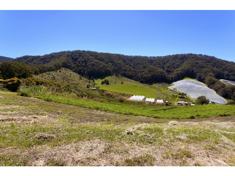 91A Gatelys Road, Coffs Harbour NSW 2450