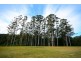 1028 Eastbank Road, Nana Glen NSW 2450