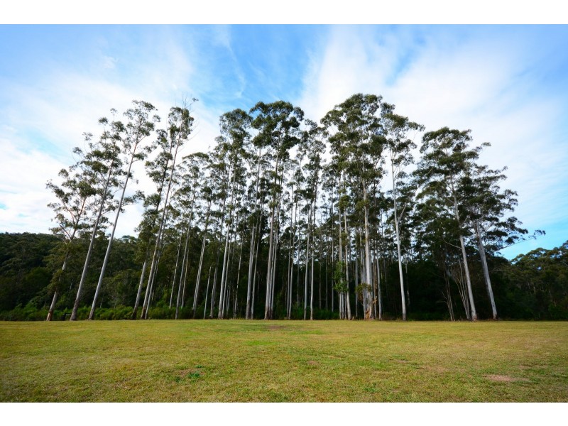 1028 Eastbank Road, Nana Glen NSW 2450