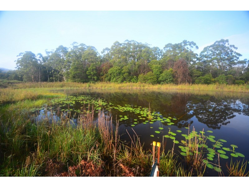 1028 Eastbank Road, Nana Glen NSW 2450
