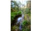1028 Eastbank Road, Nana Glen NSW 2450