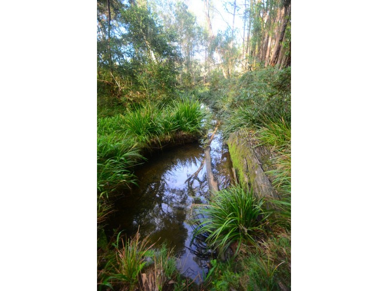 1028 Eastbank Road, Nana Glen NSW 2450