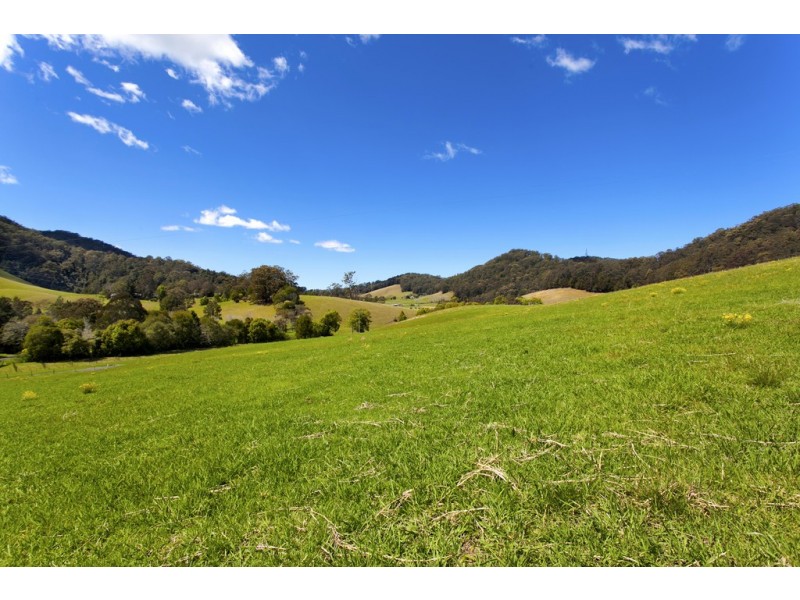 256 Fridays Creek Road, Upper Orara NSW 2450
