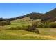 256 Fridays Creek Road, Upper Orara NSW 2450