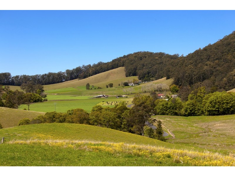 256 Fridays Creek Road, Upper Orara NSW 2450