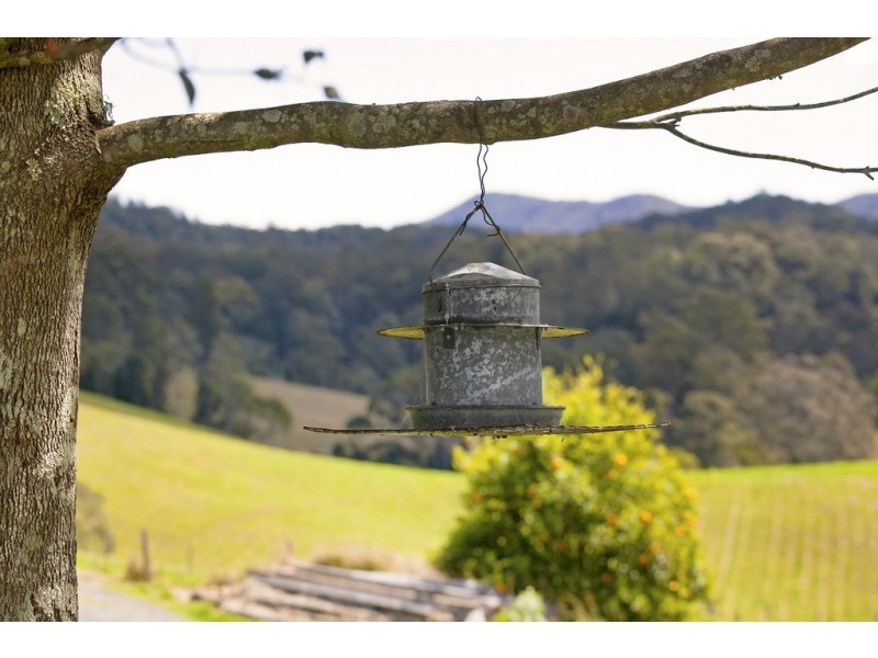 256 Fridays Creek Road, Upper Orara NSW 2450