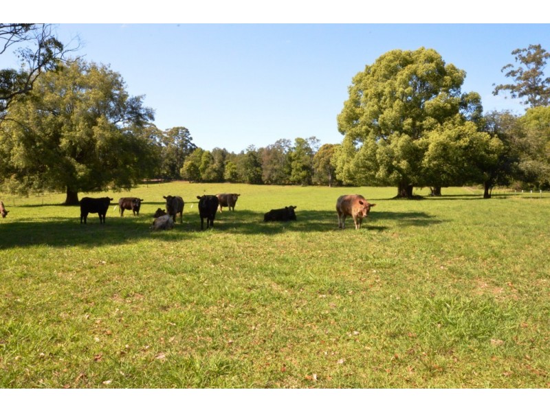 268 Gleniffer Road, Bonville NSW 2441