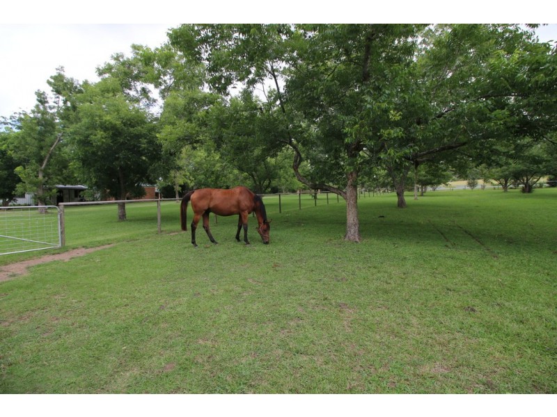 1040 Bucca Road, Bucca NSW 2450