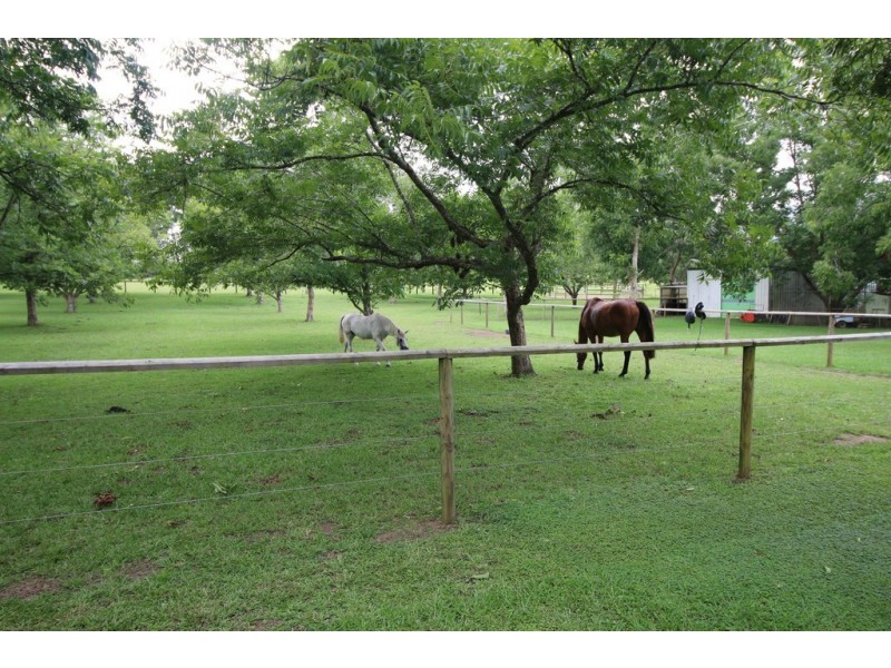 1040 Bucca Road, Bucca NSW 2450