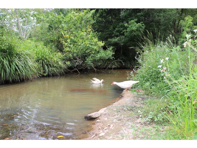 1040 Bucca Road, Bucca NSW 2450