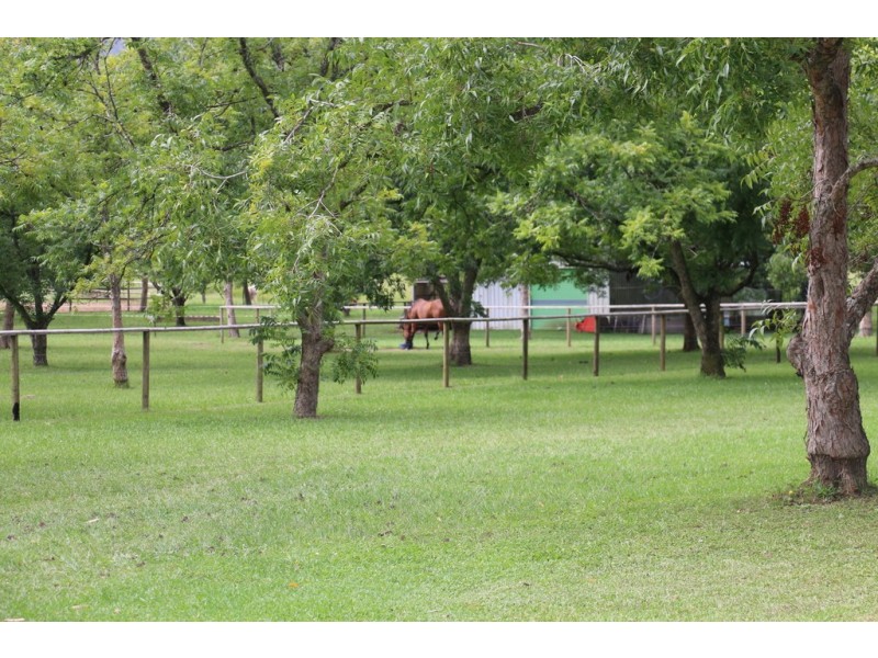 1040 Bucca Road, Bucca NSW 2450