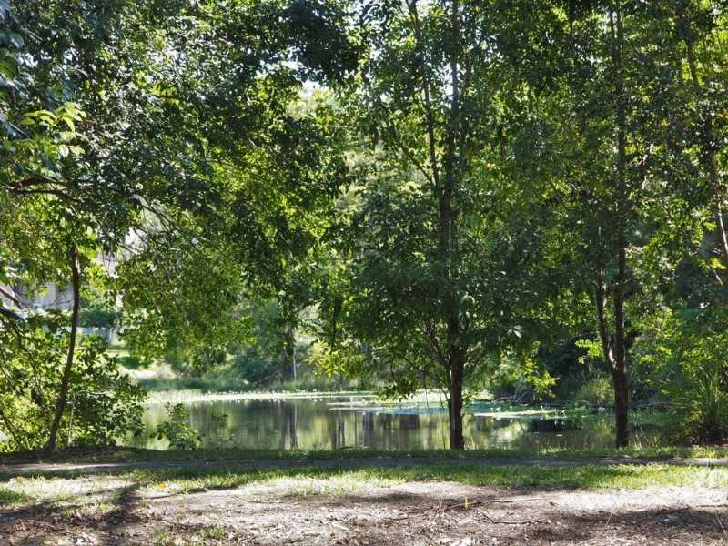 6 Searle Close, Boambee East NSW 2452