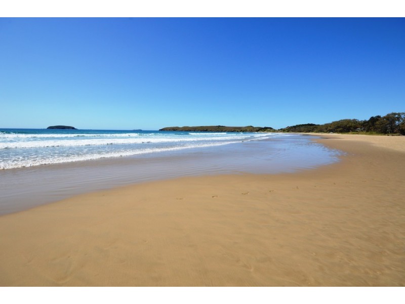 42 Bluegum Avenue, Sandy Beach NSW 2456