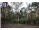 74 Forest Drive, Repton NSW 2454