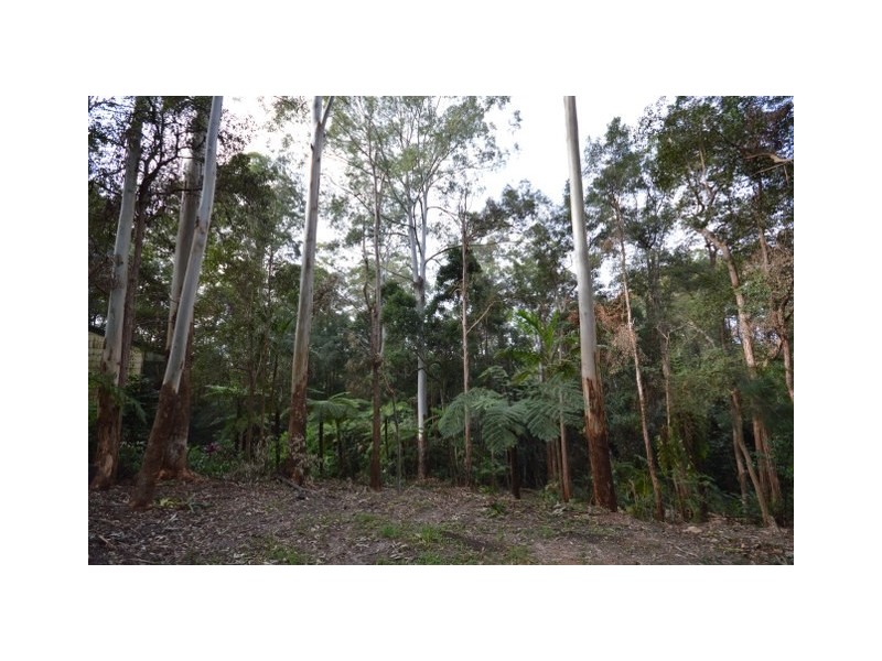 74 Forest Drive, Repton NSW 2454