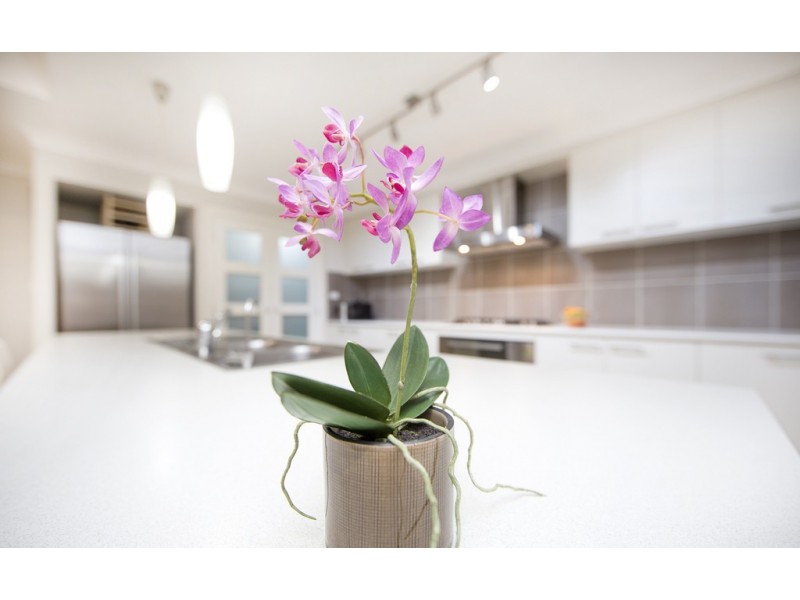 12 Queenscliff Place, Mardi NSW 2259