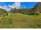 60 Brush Creek Road, Cedar Brush Creek NSW 2259