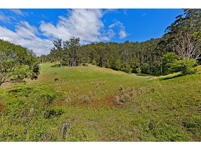 60 Brush Creek Road, Cedar Brush Creek NSW 2259