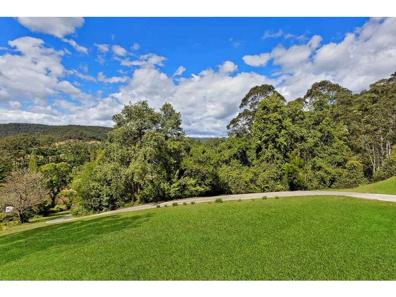 60 Brush Creek Road, Cedar Brush Creek NSW 2259