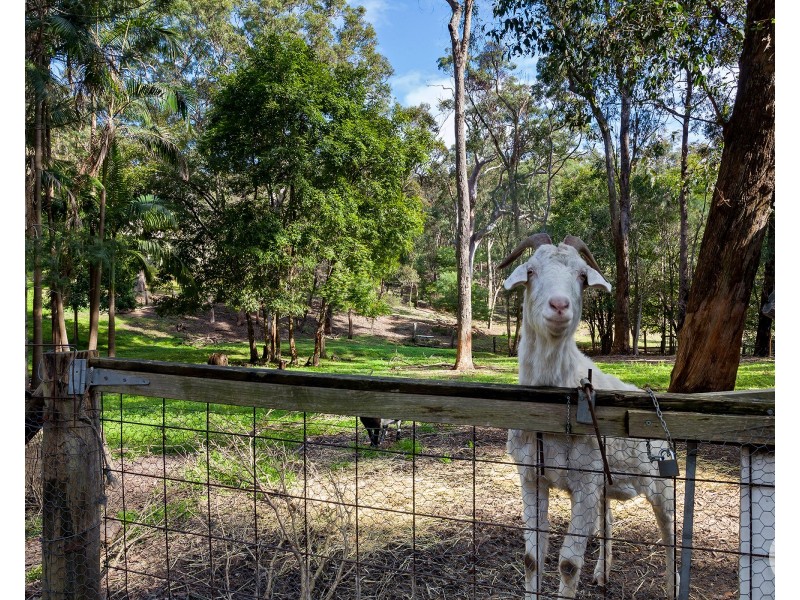 39 Fishery Point Road, Mirrabooka NSW 2264
