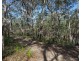 39 Fishery Point Road, Mirrabooka NSW 2264