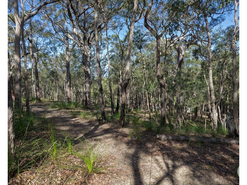 39 Fishery Point Road, Mirrabooka NSW 2264