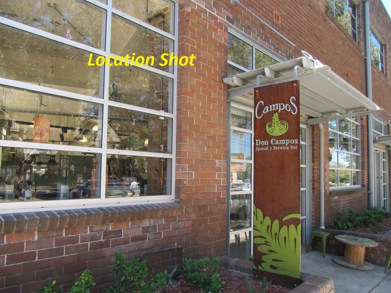 15-17 Fountain Street, Alexandria NSW 2015