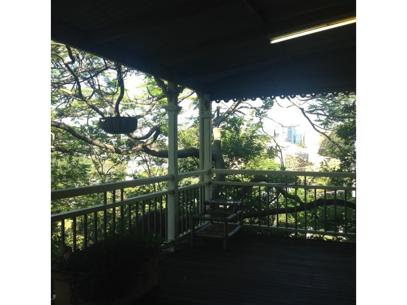 19A Latrobe Terrace, Paddington QLD 4064