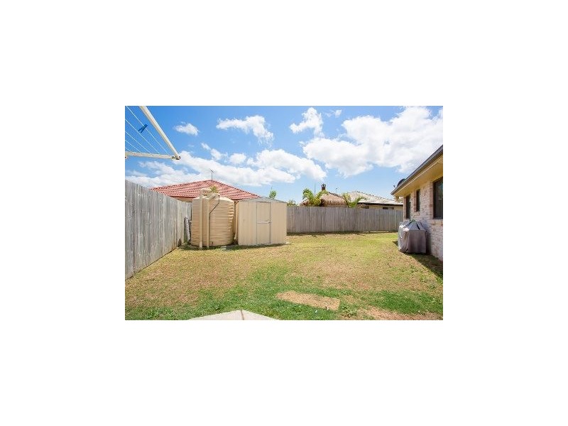 16 Treefrog Street, Ningi QLD 4511