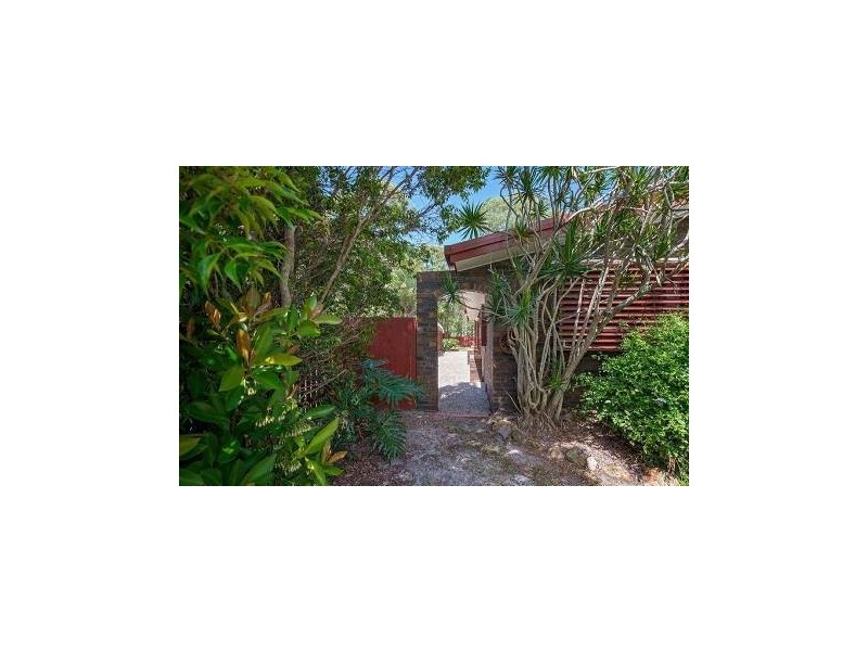 19 Ranald Avenue, Ningi QLD 4511