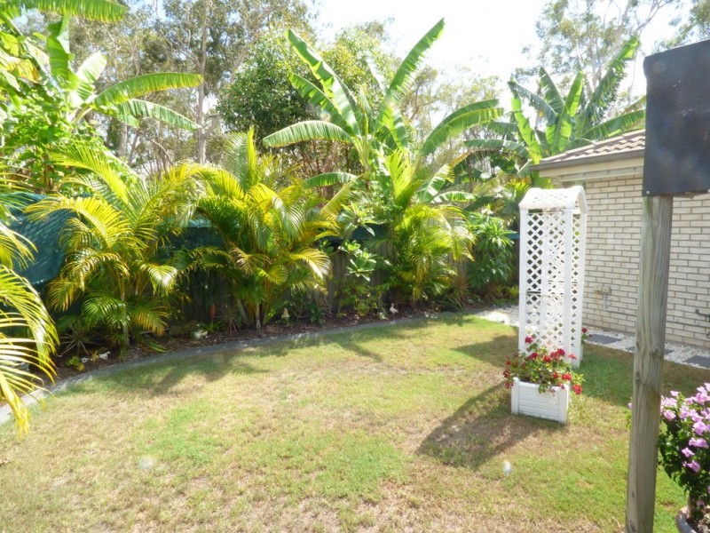 10 Honeybee Place, Ningi QLD 4511