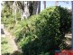 4 Brumm Court, Ormeau Hills QLD 4208