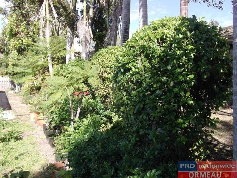 4 Brumm Court, Ormeau Hills QLD 4208
