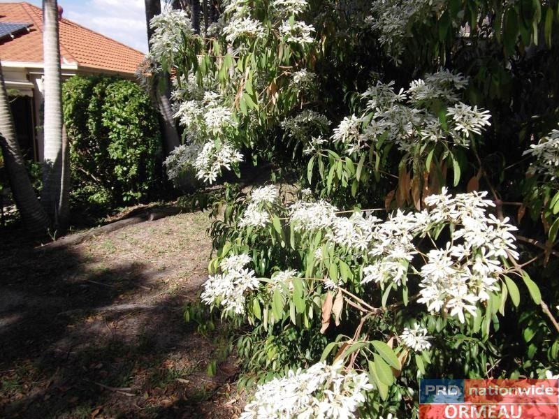 4 Brumm Court, Ormeau Hills QLD 4208