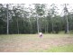 Lot 331 Bago Park Estate, Wauchope NSW 2446