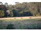 Lot 11 Bago Park Estate, Wauchope NSW 2446