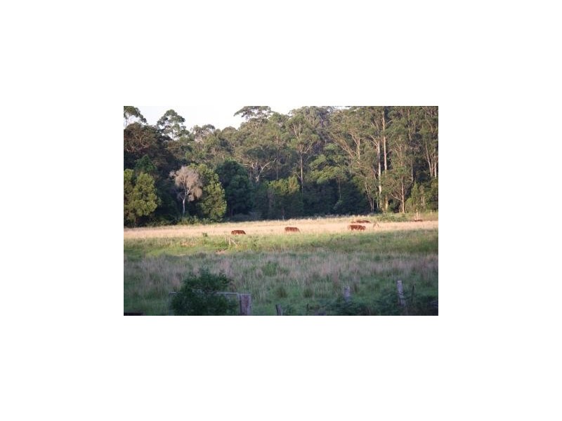 Lot 11 Bago Park Estate, Wauchope NSW 2446