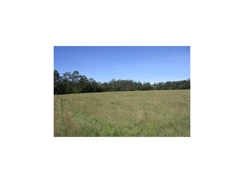 Lot 11 Bago Park Estate, Wauchope NSW 2446