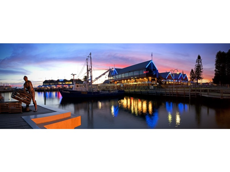 17A Theseus Way, Coolbellup WA 6163