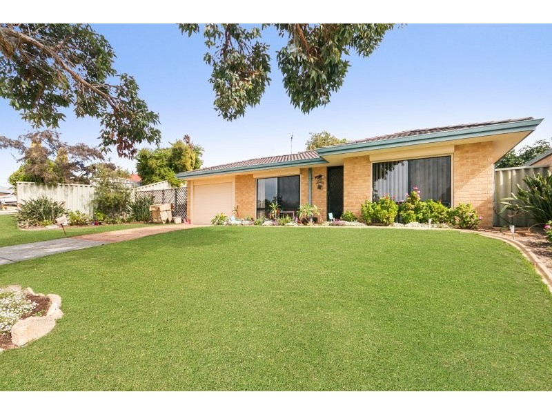 3 Ranunculus Court, Beeliar WA 6164