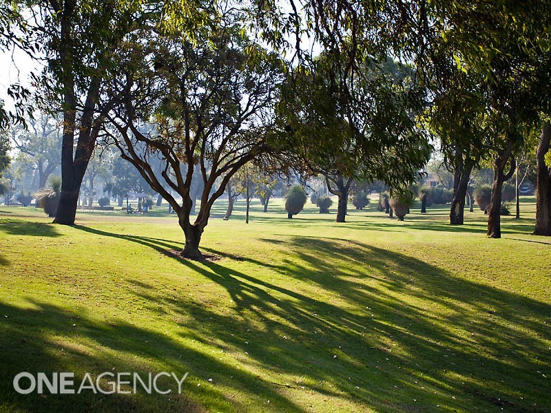 8 Dorcas Way, Coolbellup WA 6163