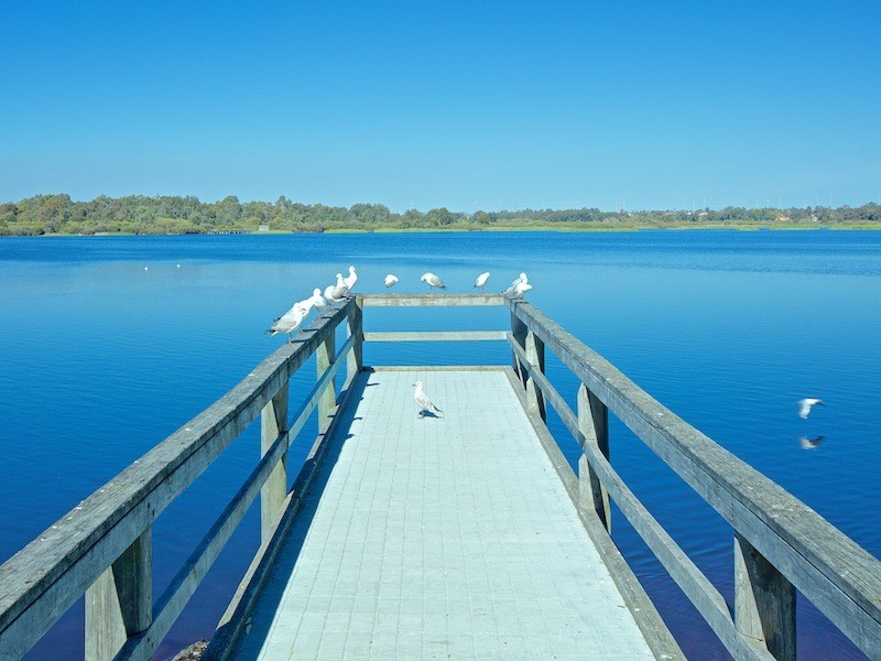 31/7 Juliet Road, Coolbellup WA 6163