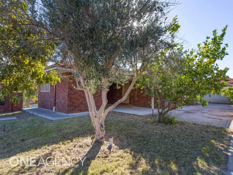 1A Millan Place, Hamilton Hill WA 6163