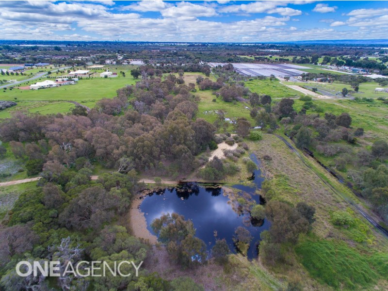 50 Honeymyrtle Loop, Forrestdale WA 6112